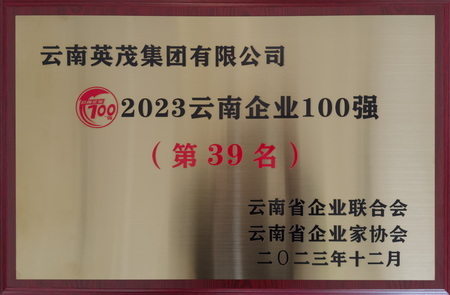 2023云南企业100强发布 英茂集团排名第39名