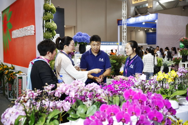 英茂花卉参加第二十届中国昆明国际花卉展