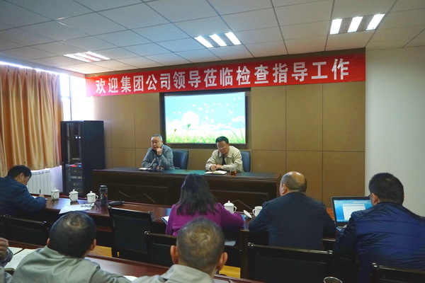 乐鱼官网链接领导到广丰公司检查指导工作