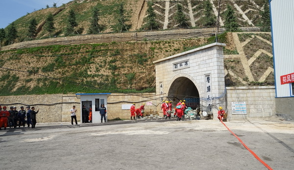 云南英茂集团有限公司