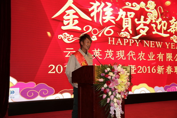 云南英茂集团有限公司