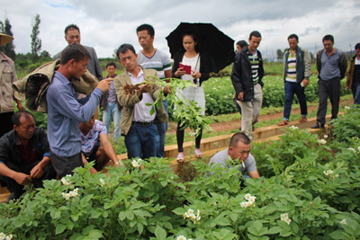 马铃薯种薯客户到英茂农业基地参观交流