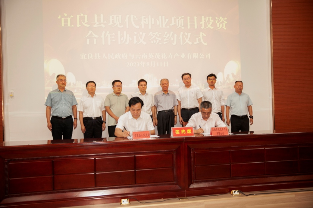 best365体育花卉与宜良县人民政府签订投资合作协议