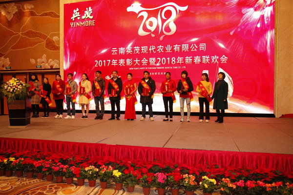 云南英茂集团有限公司