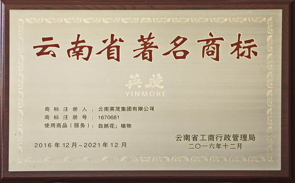 “英茂YINMORE”获云南省著名商标称号