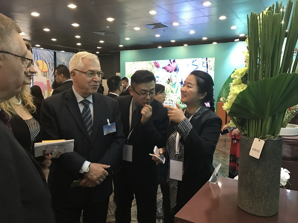 云南英茂集团有限公司