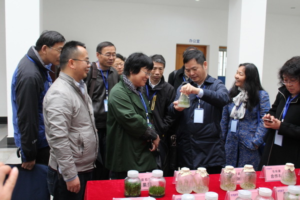 云南英茂集团有限公司