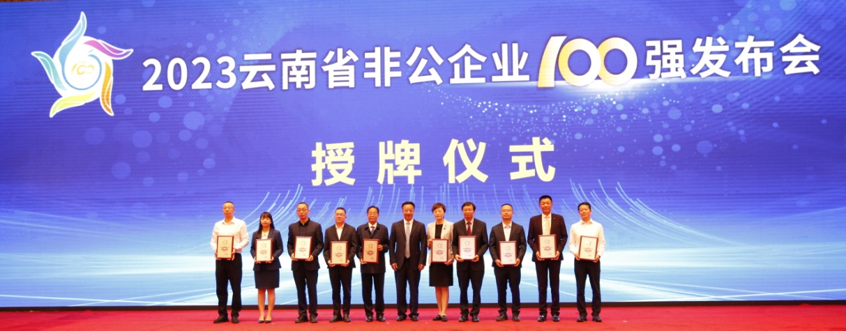 大阳城集团娱乐网站app获2023云南省非公企业100强第31名