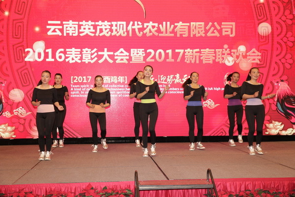 云南英茂集团有限公司