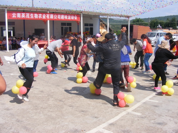 生物农业公司举行2018年趣味运动会