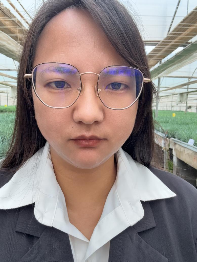 云南花卉-罗艳