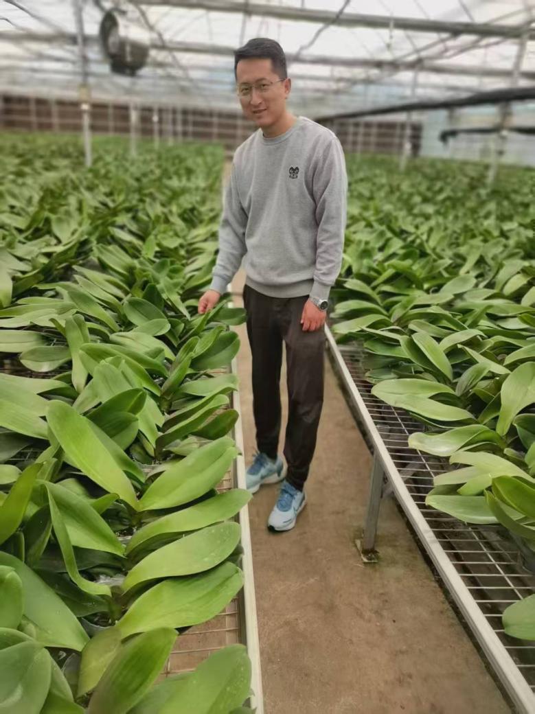 普江启