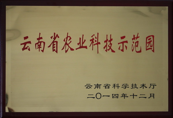 光荣榜——集团2014年度先进集体先进事迹