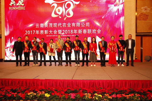 云南英茂集团有限公司