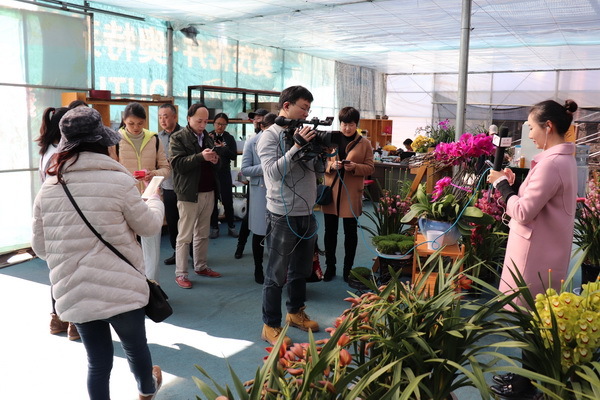 你好，2019！——《花开彩云南》在英茂太平基地首秀直播