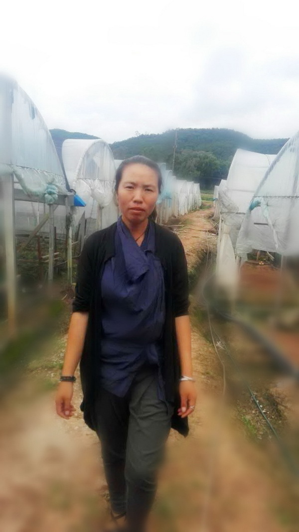 云南英茂集团有限公司