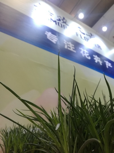 云南英茂集团有限公司