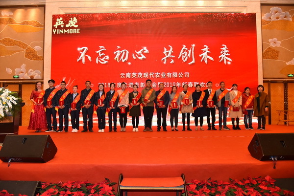 云南英茂集团有限公司
