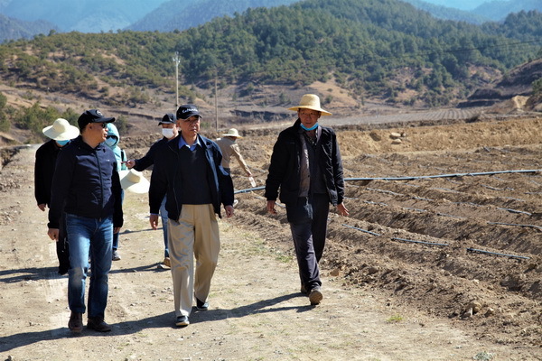 集团领导赴种薯公司丽江、大理基地调研