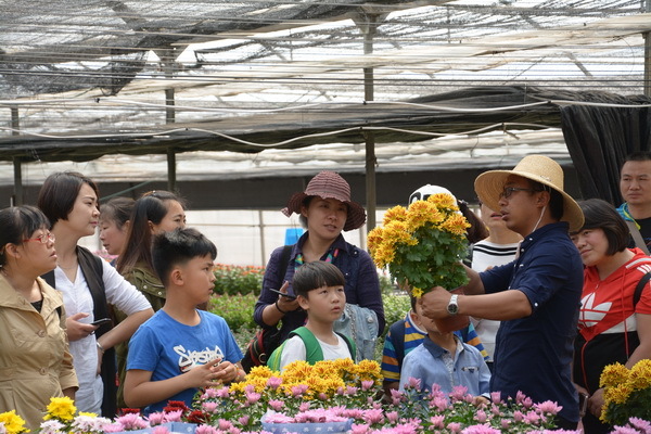 转发：尊龙凯时花卉开设“植物门诊” 想养好花的看过来