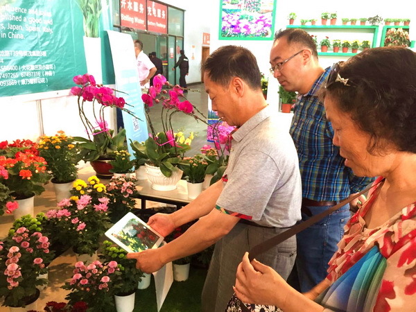 英茂花卉参加第18届中国昆明国际花展