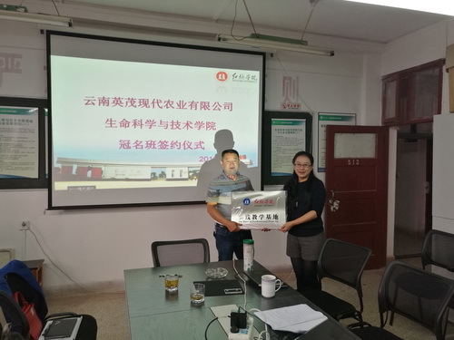 云南英茂集团有限公司