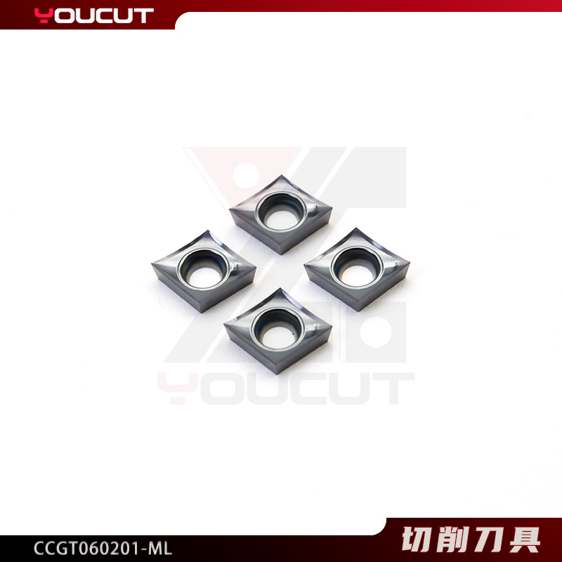 CCGT060201-ML