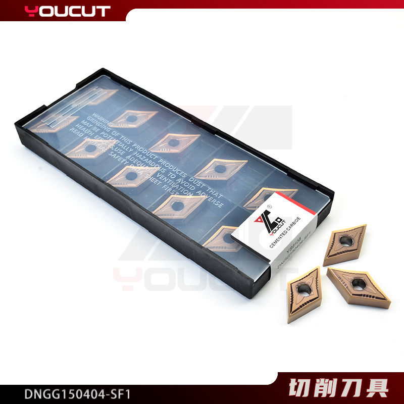 DNGG150404-SF1