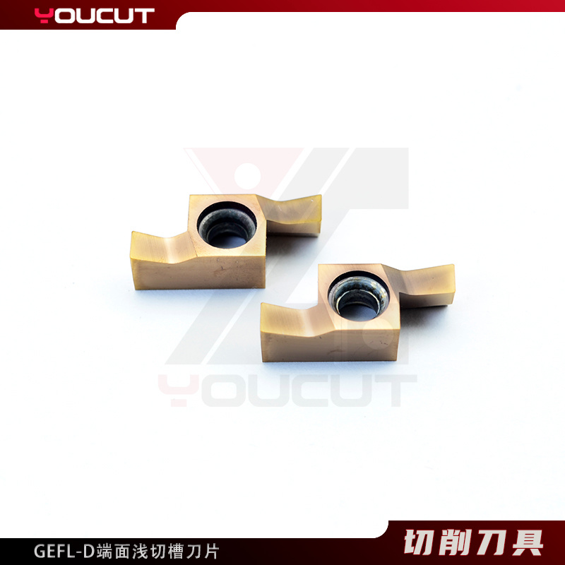 GEFL3010-D-L4.5