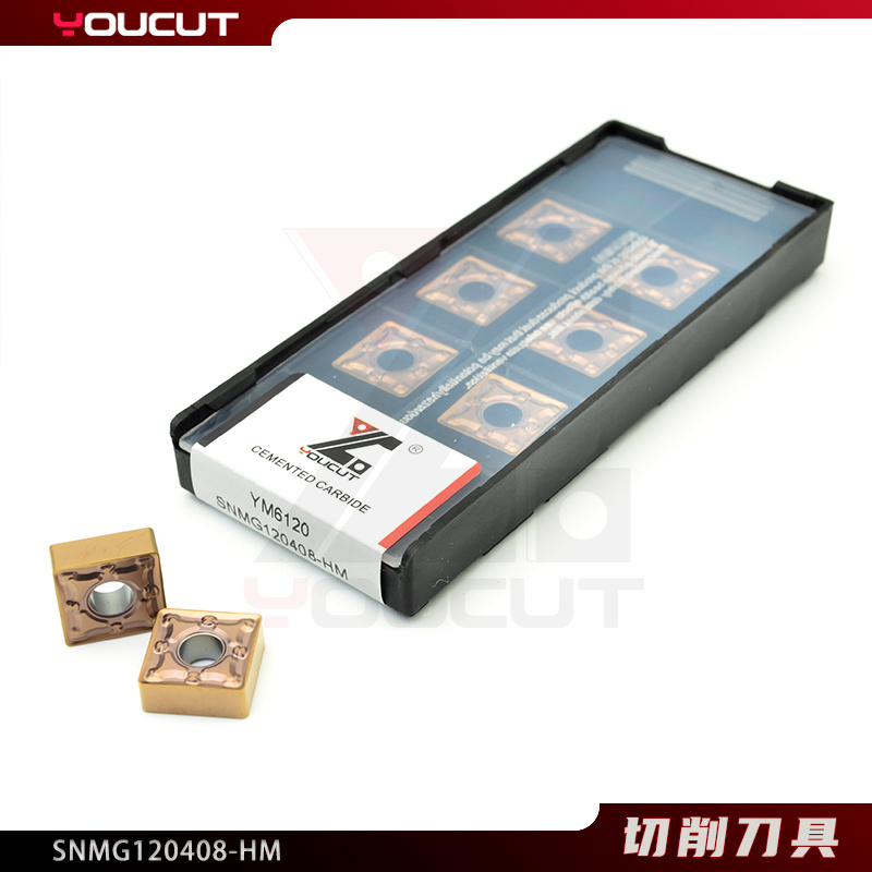SNMG120408-HM