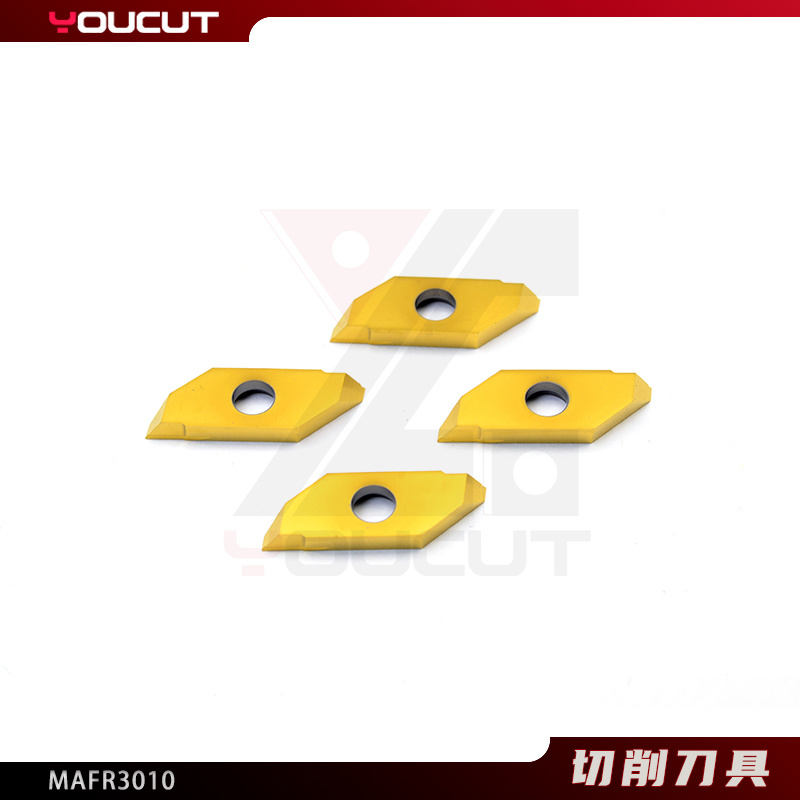 MAFR3010