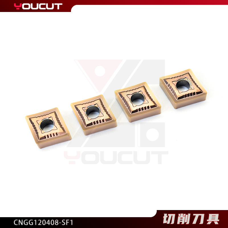 CNGG120408-SF1
