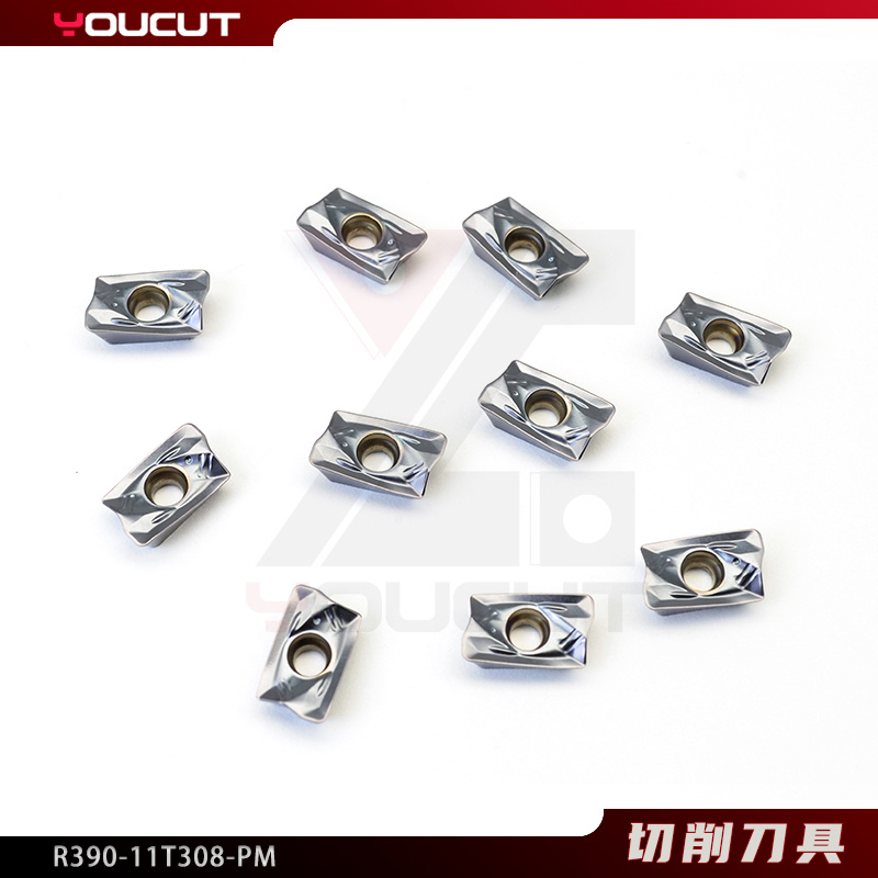 R390-11T308-PM