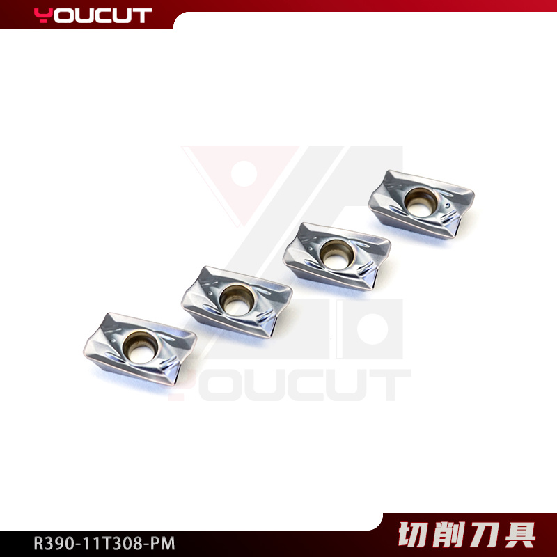 R390-11T308-PM
