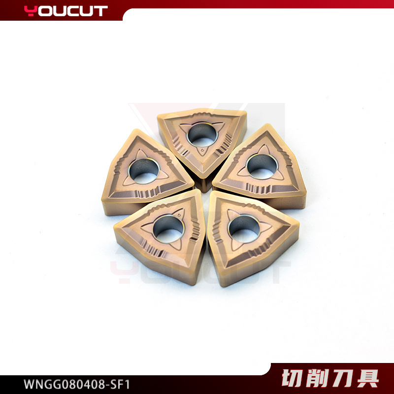 WNGG080408-SF1