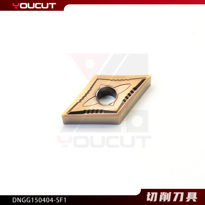 DNGG150404-SF1