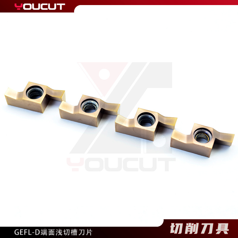 GEFL3010-D-L4.5