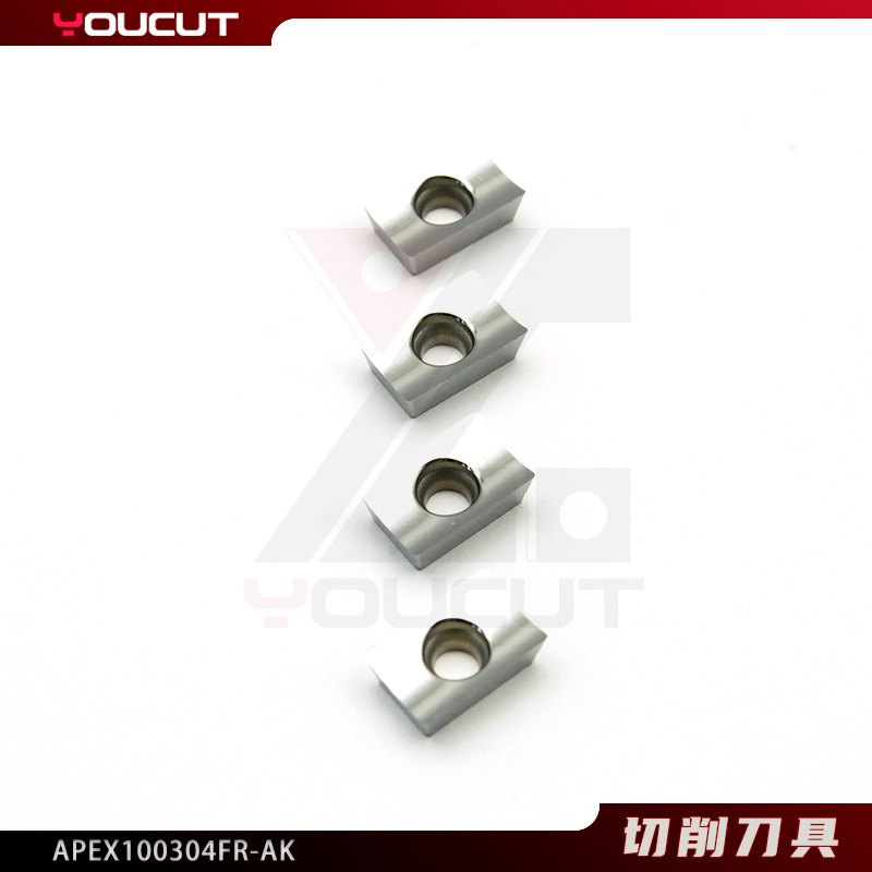 APEX100304FR-AK
