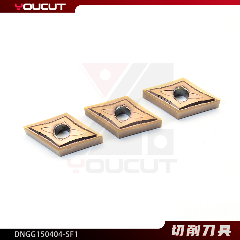 DNGG150404-SF1