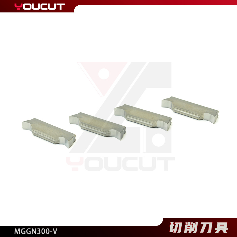 MGGN300-V