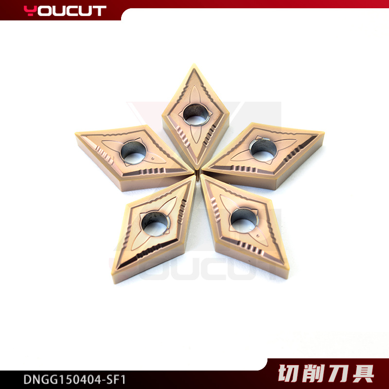 DNGG150404-SF1