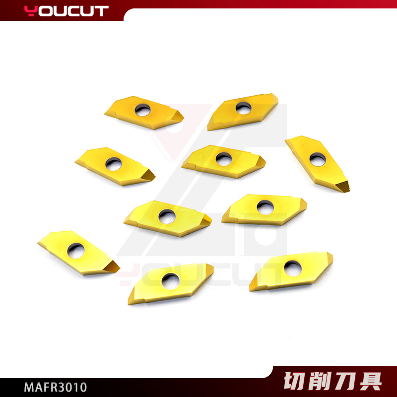 MAFR3010