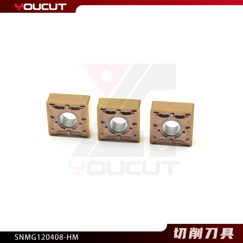 SNMG120408-HM