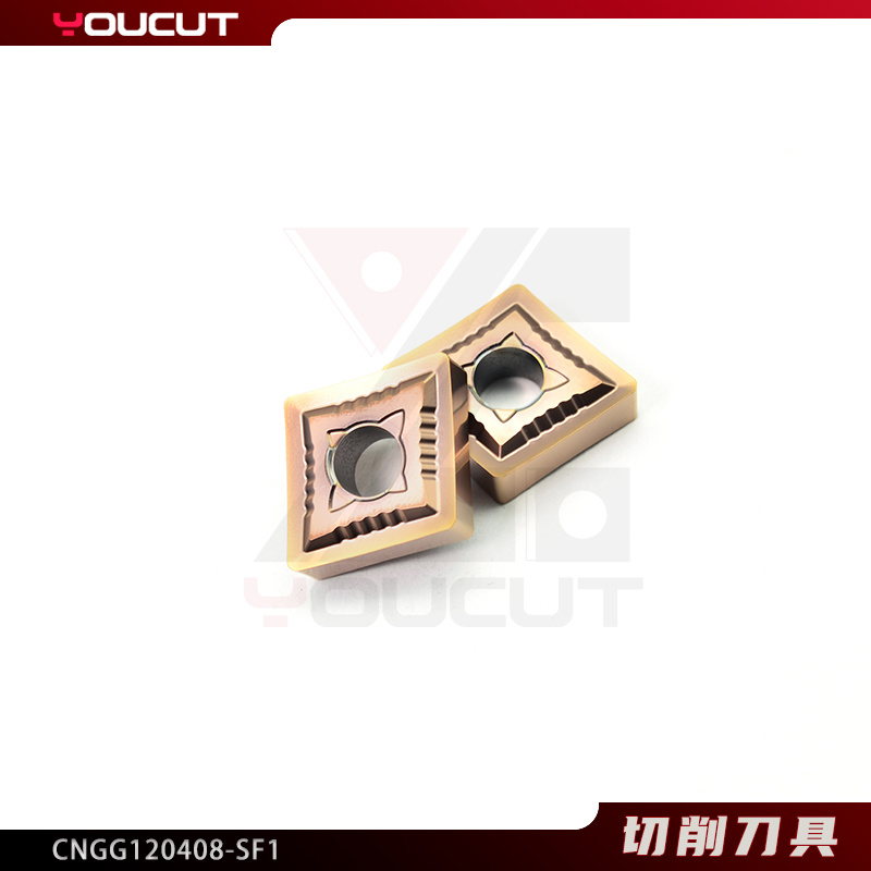 CNGG120408-SF1