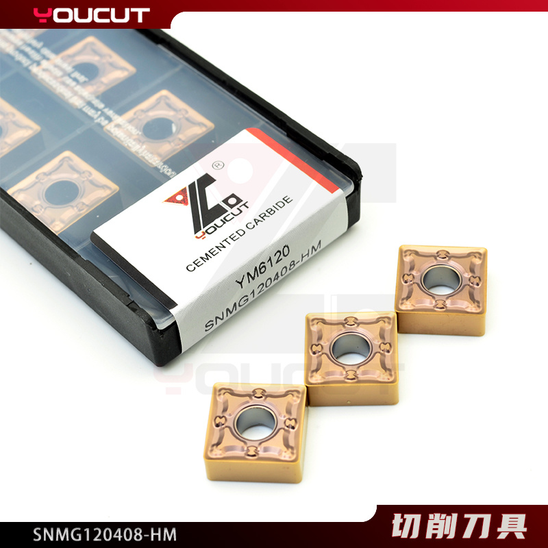 SNMG120408-HM