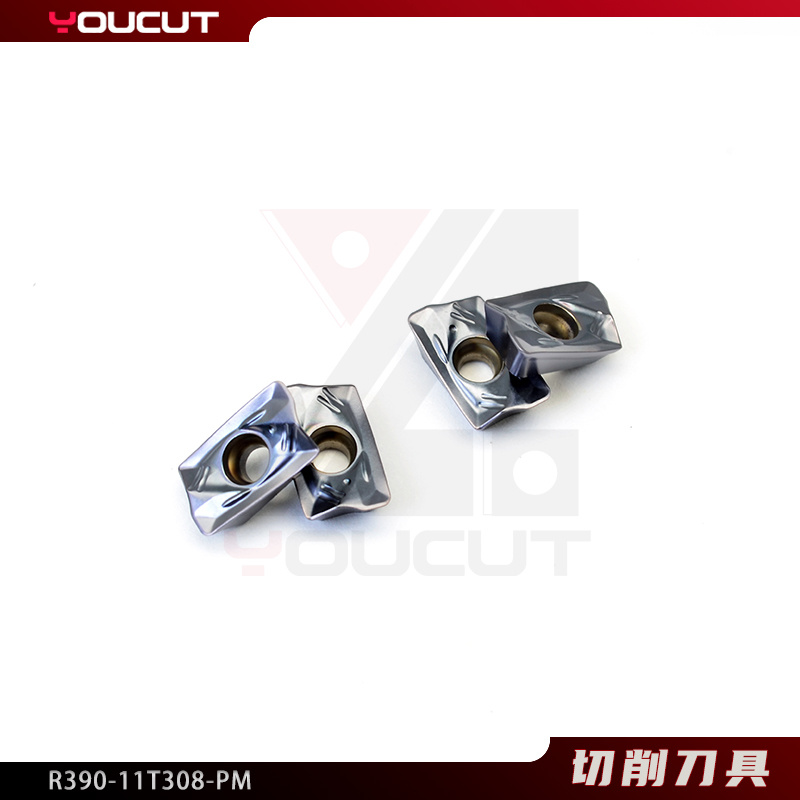 R390-11T308-PM