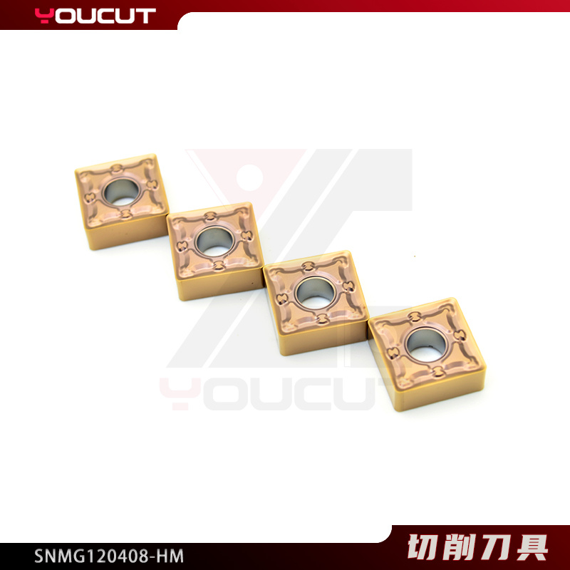 SNMG120408-HM