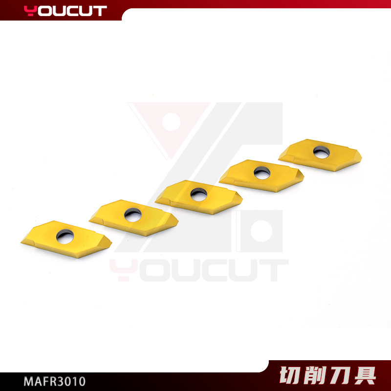 MAFR3010