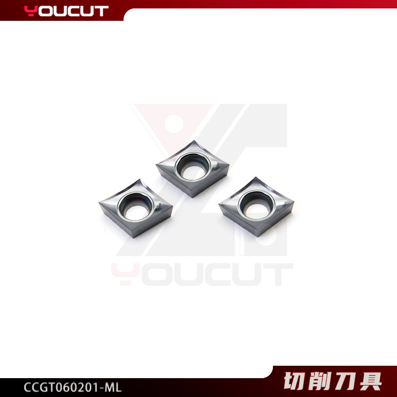 CCGT060201-ML