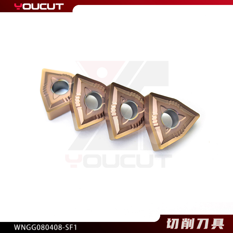 WNGG080408-SF1